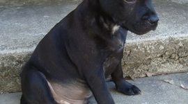 Timeline: josh.t's Xbox 360 games