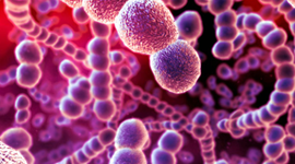 Timeline: Strep Throat History