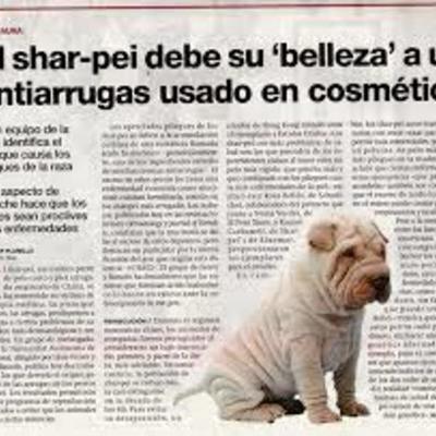 Timeline: historia de la tecnología-Daniel Lopera y sebastian caicedo