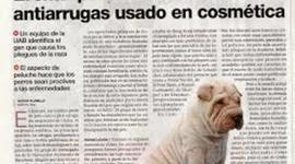 Timeline: historia de la tecnología-Daniel Lopera y sebastian caicedo