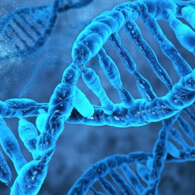 Timeline: Discovery of DNA v2