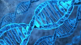 Timeline: Discovery of DNA v2