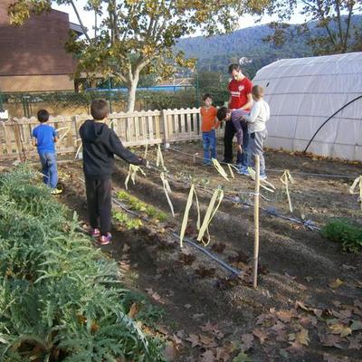 Timeline: L'hort de l'escola