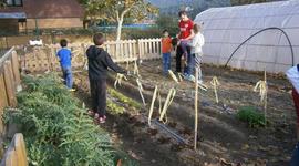 Timeline: L'hort de l'escola
