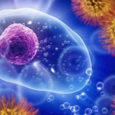 Timeline: HISTORIA DE LA INMUNOLOGIA