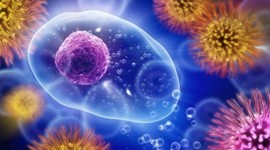 Timeline: HISTORIA DE LA INMUNOLOGIA