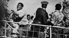 Timeline: Anti-aparited