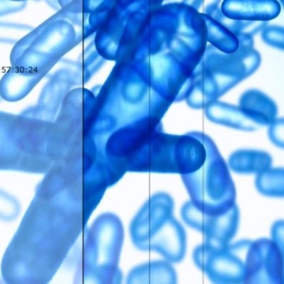 Timeline: Linea Del Tiempo Windows Duban