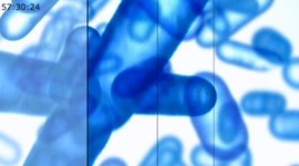 Timeline: Linea Del Tiempo Windows Duban