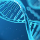 Dna