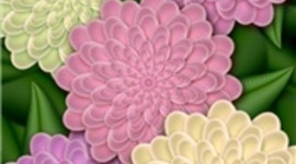 Timeline: Flowers bloom in the spring.