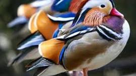 Timeline: World War 2