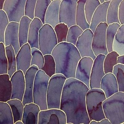 Timeline: Linea del tiempo de mi vida