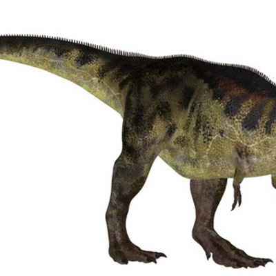 Timeline: Dino