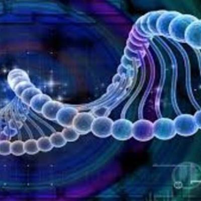 Timeline: Descubrimiento del ADN