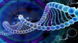 Timeline: Descubrimiento del ADN