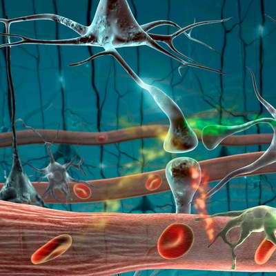 Timeline: HISTORIA DE LA INMUNOLOGÍA