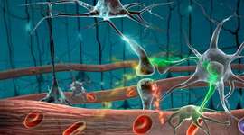 Timeline: HISTORIA DE LA INMUNOLOGÍA