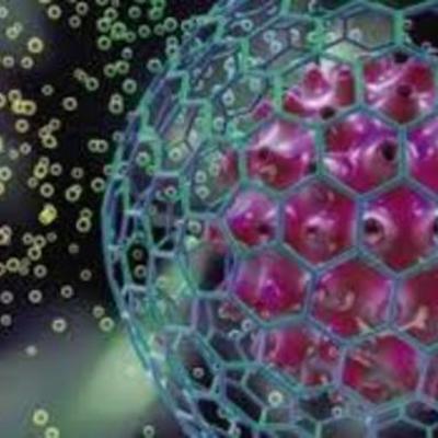 Timeline: TEORIA CELULAR