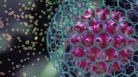 Timeline: TEORIA CELULAR