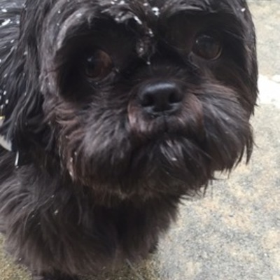 Timeline: World War 2 Rachel Clark