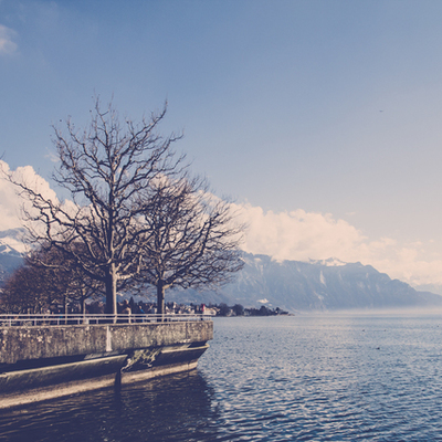 Timeline: Pasado y presente.