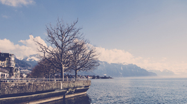 Timeline: Pasado y presente.