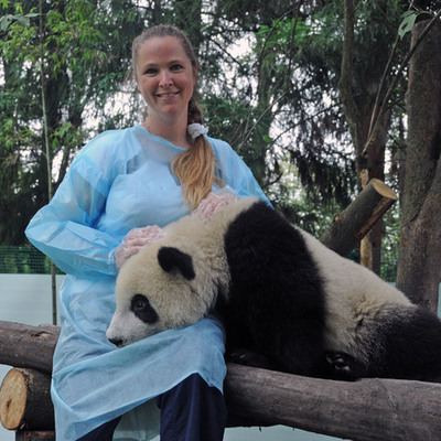 Timeline: Eukaryotic Cell Communication