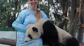 Timeline: Eukaryotic Cell Communication