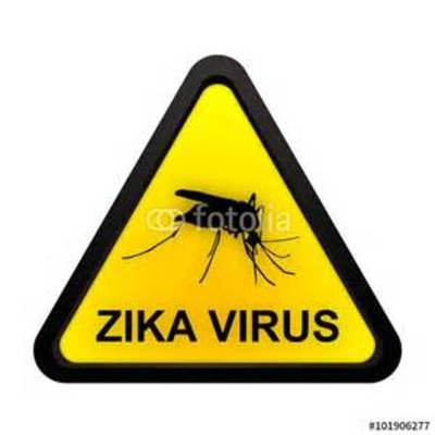 Timeline: ZIKA VÍRUS.