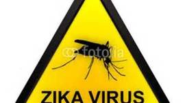 Timeline: ZIKA VÍRUS.