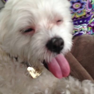 Timeline: D's Timeline