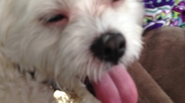 Timeline: D's Timeline