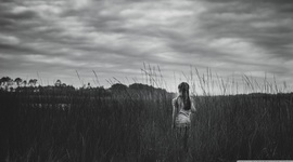 Timeline: Psicología política