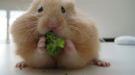 Timeline: Timeline of My Life