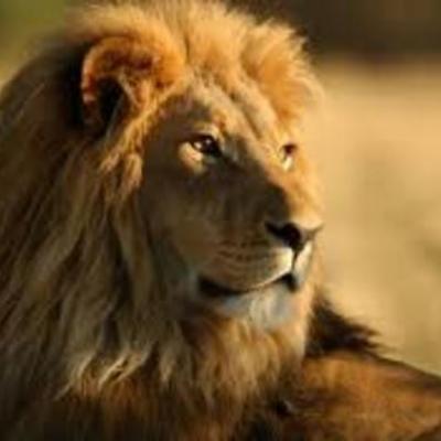 Timeline: Alberto Rodriguez