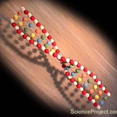 Timeline: History of DNA