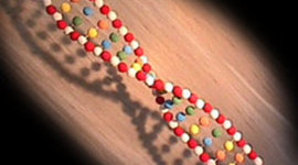 Timeline: History of DNA