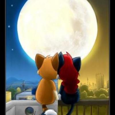 Timeline: pueba prepa