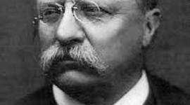 Timeline: progressive teddy