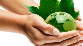 Timeline: leyes y normas ambientales en colombia