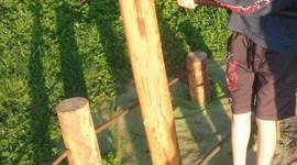 Timeline: Marko elu ajatelg