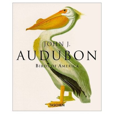 Timeline: INTECH Timeline