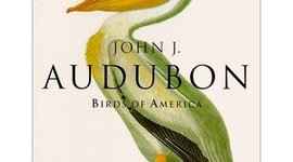 Timeline: INTECH Timeline