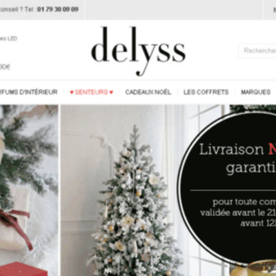 Timeline: Delyss - Social Media Roadmap