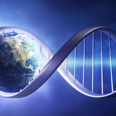 Timeline: Mrs. Workman's Geologic Timeline