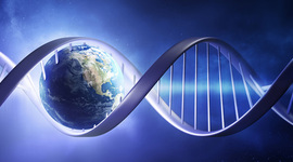 Timeline: Mrs. Workman's Geologic Timeline