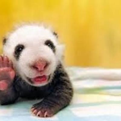 Timeline: S.S. Interactive TImeline Jayden Davis