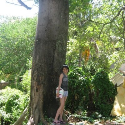 Timeline: Historia de la tecnología