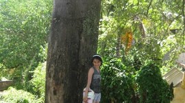 Timeline: Historia de la tecnología